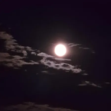 Daire Alecsa 2 Luxury